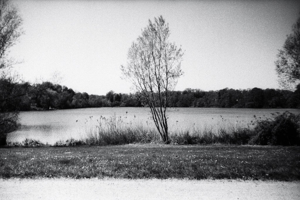 analog photography: Auensee (Meadow Lake), Leipzig