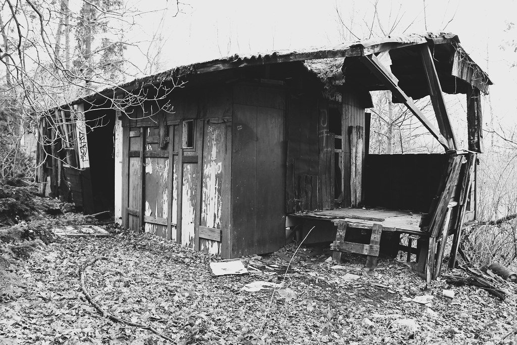 rotten cabin