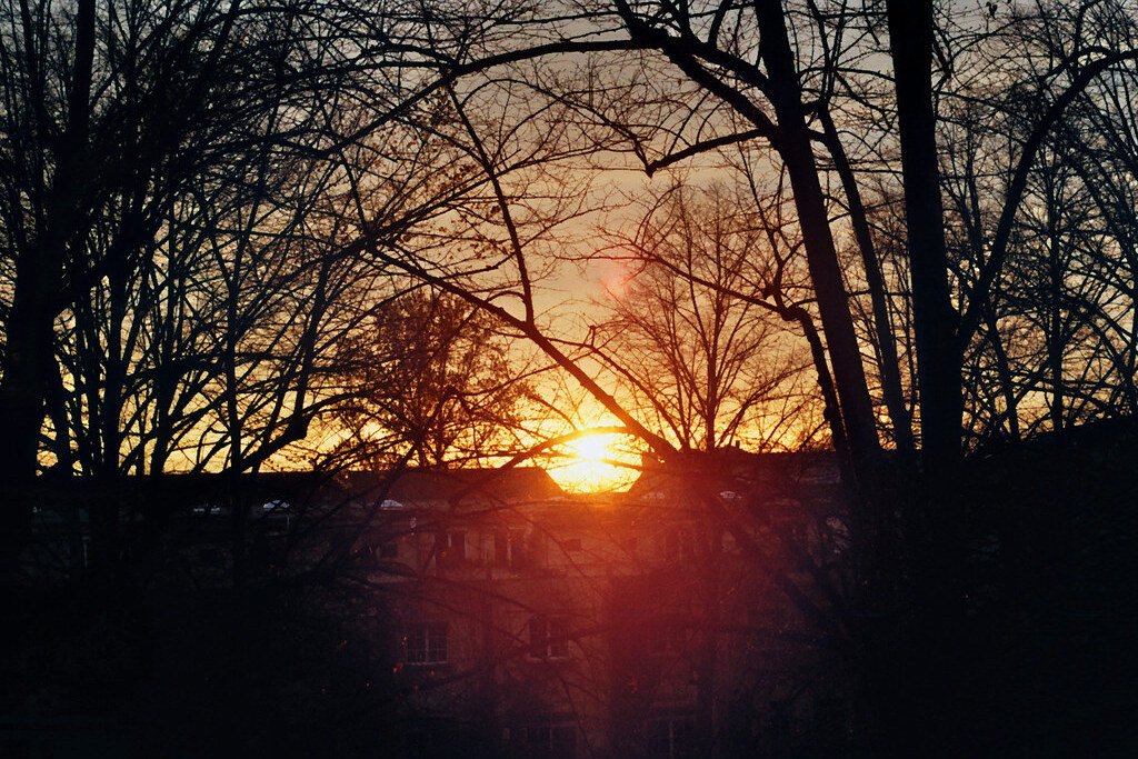 Analog Photography: Sunrise