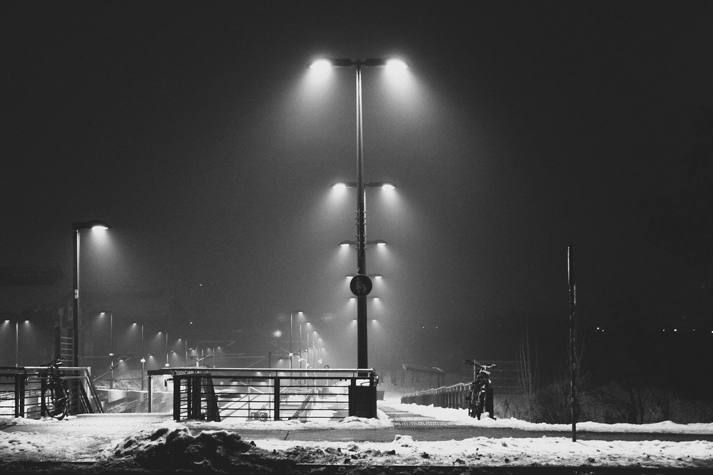 foggy lights at night